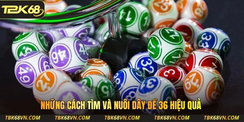 Những cách tìm và nuôi dây đề 36 hiệu quả